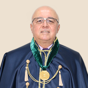 Adm. Eleazar de Castro Ribeiro Image